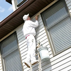 mr painter house painting